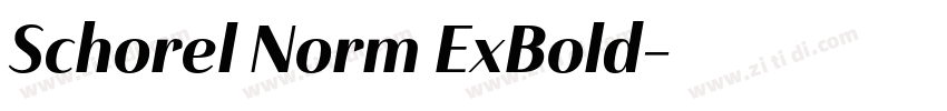 Schorel Norm ExBold字体转换